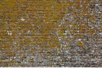 wall bricks overgrown moss 0006